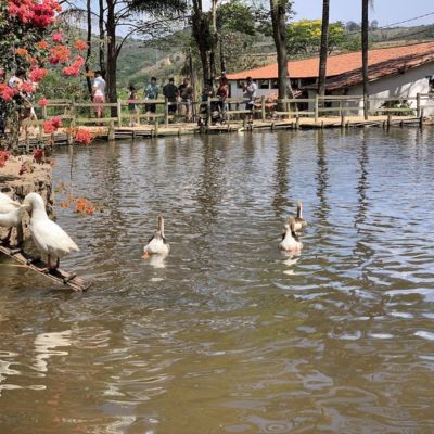 Atividades Recreativas na fazenda de chocolate em Itu - SP