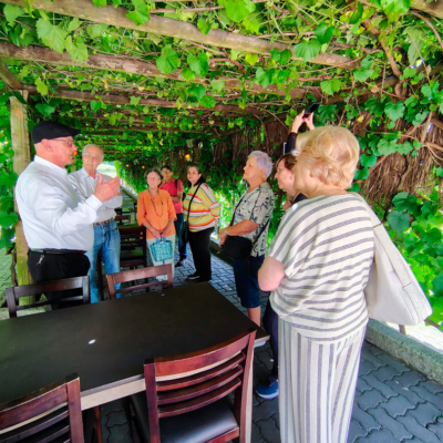 02-Estrada-do-Vinho-Almoço-Português-e-Degus-de-Vinho-e-Alcachofras