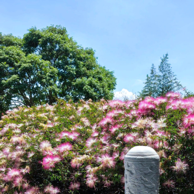 19-Visita-Meditacao-e-Almoco-no-Templo-Zu-Lai