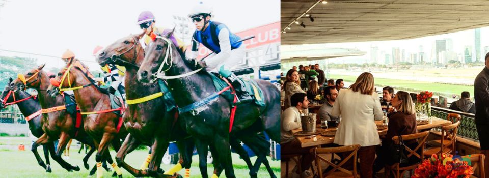 jockey-club-com-visita-guiada-almoço-e-corrida-de-cavalos-home
