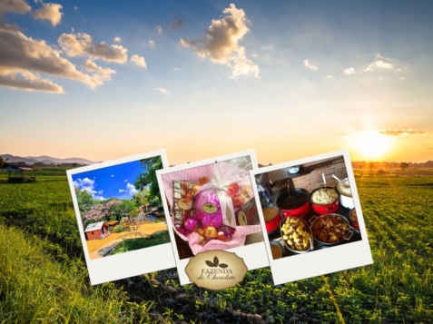 Visita a Fazenda de Chocolate em Itu