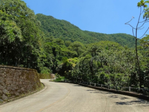 Tour pela estrada velha de Santos